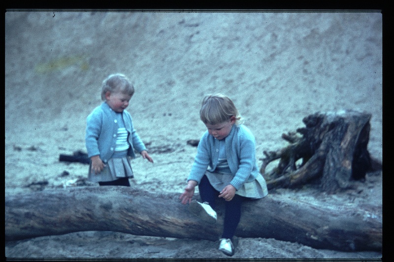 34.Horsten jul 1965 Brigitte,Marion.JPG